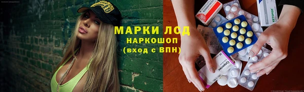 spice Аркадак