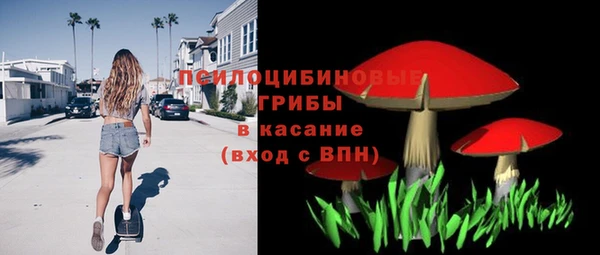 spice Аркадак